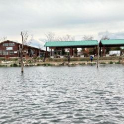 久しぶりのフィシングパーク高島の泉